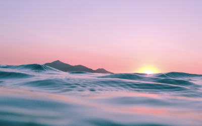 Noom veröffentlicht 2. Jahresbericht zu gesunden Verhaltensweisen